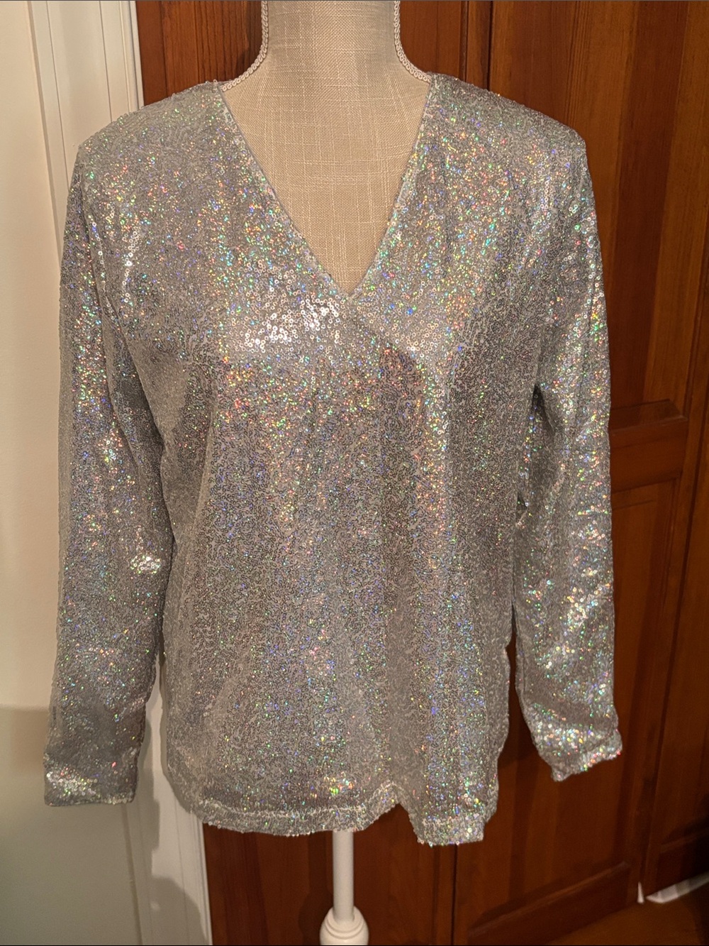 Silver sequin/ glittery  V-Neck Women’s Top
